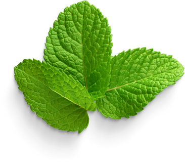 Premium isolated images